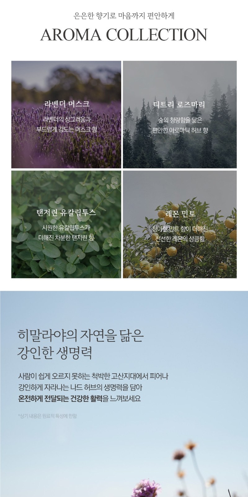 Nard 핸드워시 280ml + 바디워시 + 클렌징폼 상세 이미지