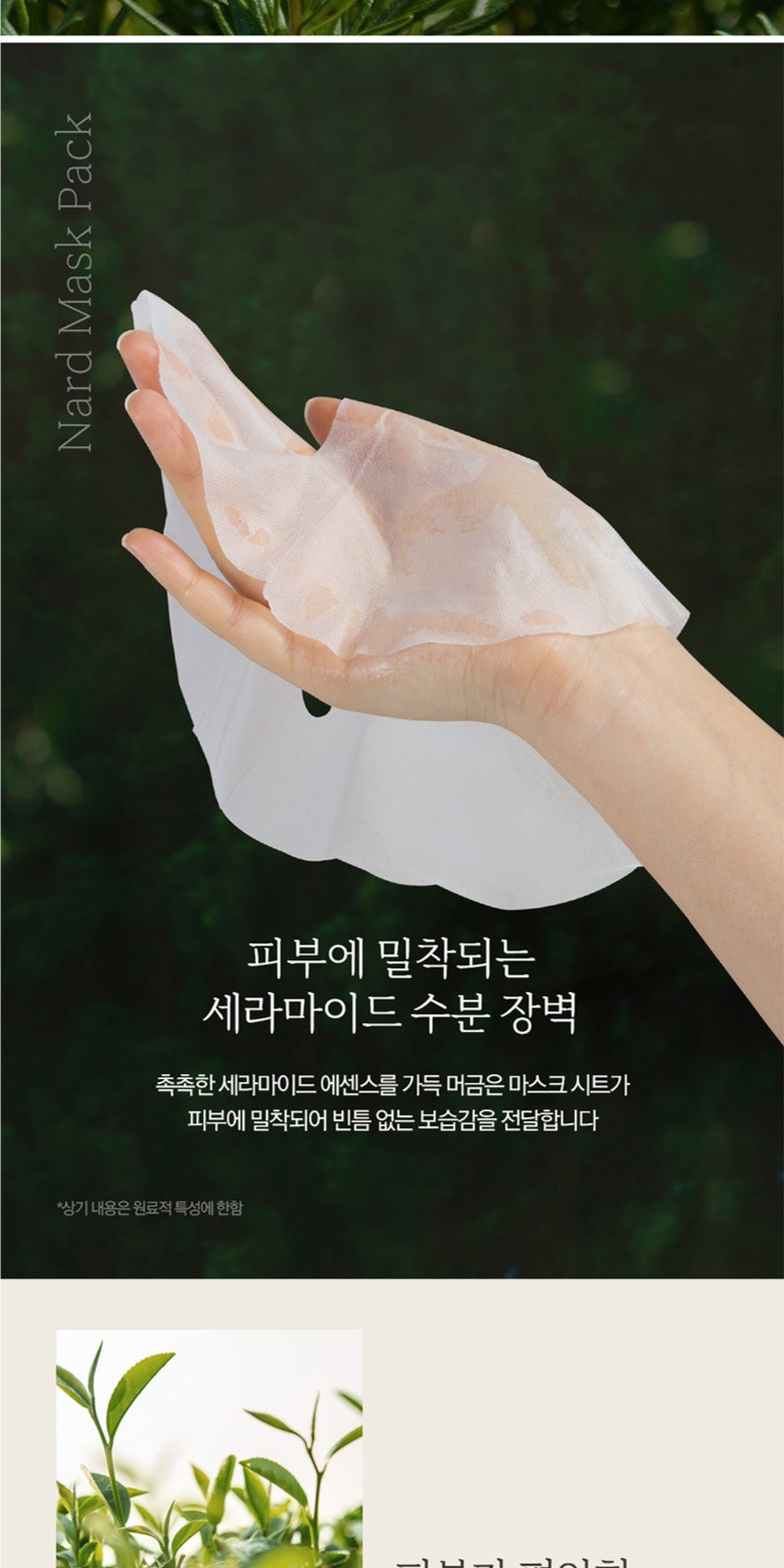 부케가르니 샴푸+트리트먼트+바디워시 + 쿨맥스 치약 + 미세모 칫솔 + 나드 마스크팩 2개 상세 이미지