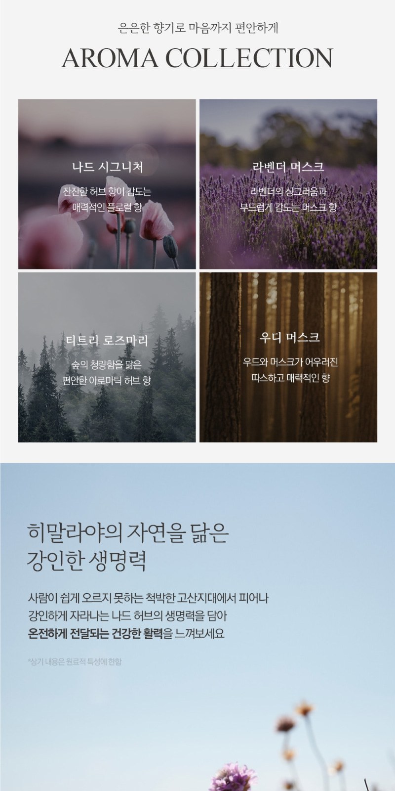 나드 바디워시 500ml + 바디로션 100ml 2개 + 끈케이스 상세 이미지