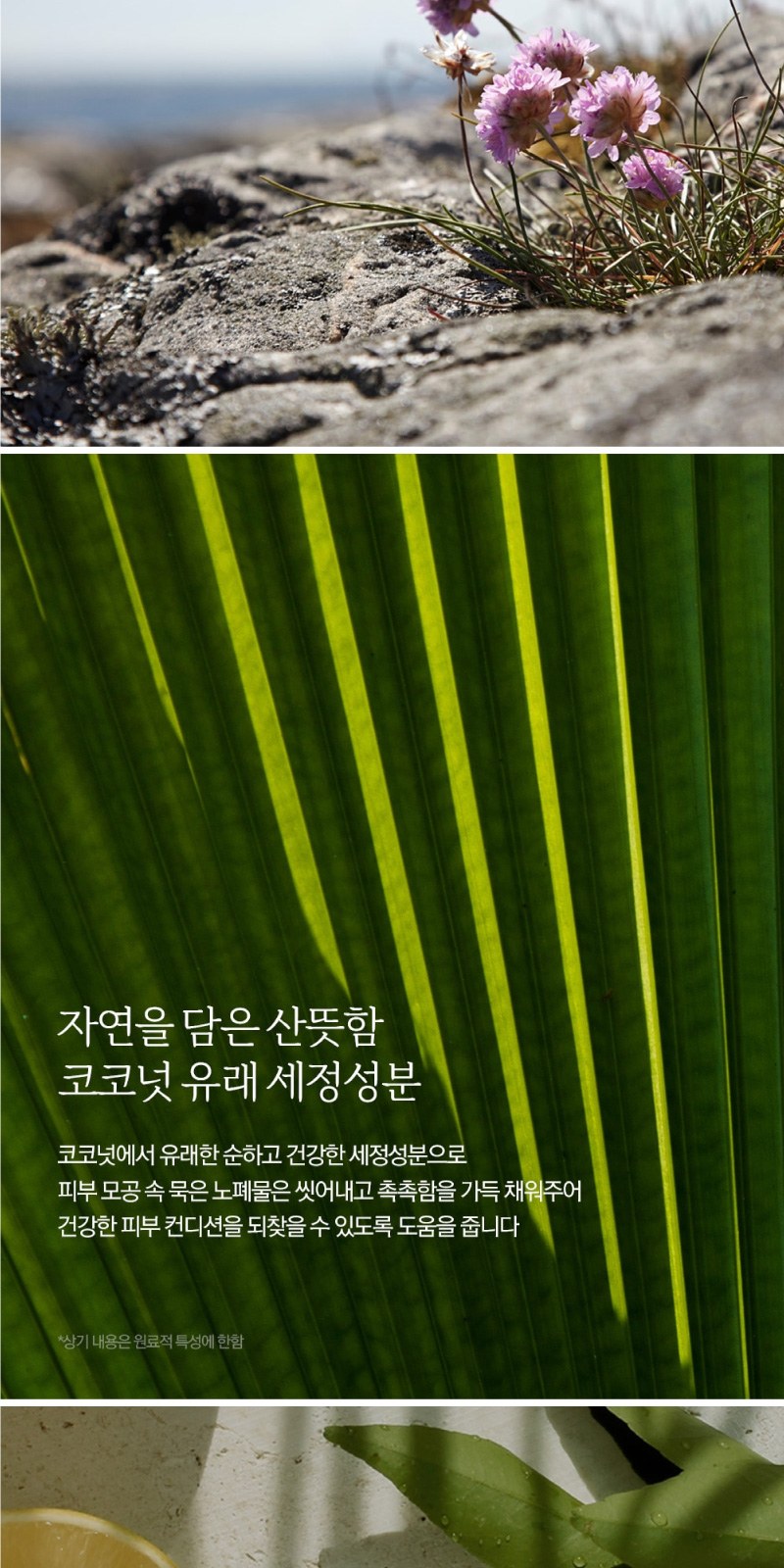 나드 바디워시 500ml + 바디로션 100ml 2개 + 끈케이스 상세 이미지
