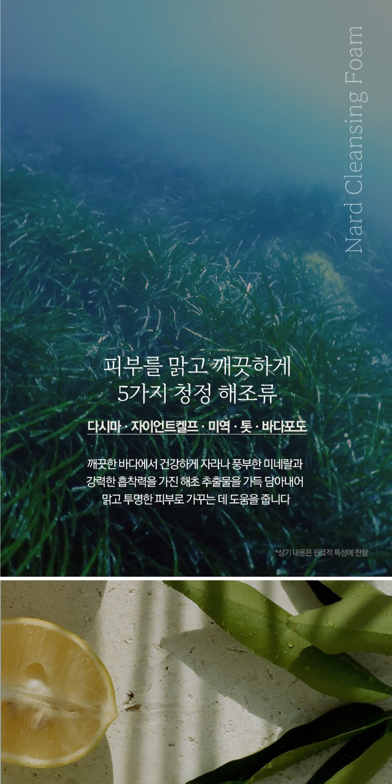 Nard 나드 클렌징폼 180ml + 과일나라 샴푸 + 컨디셔너 상세 이미지