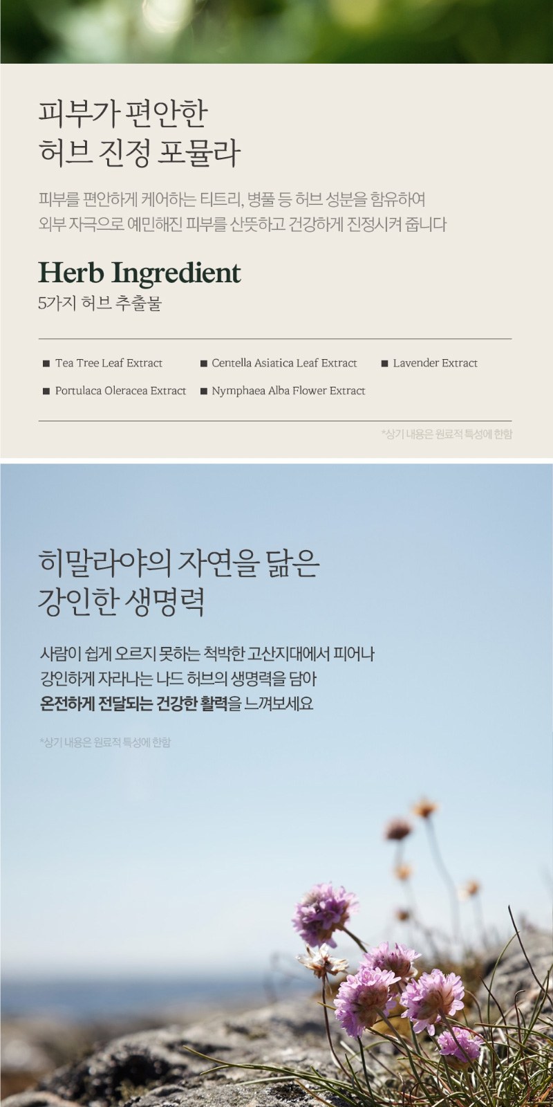 Nard 나드 클렌징폼 180ml + 과일나라 샴푸 + 컨디셔너 상세 이미지