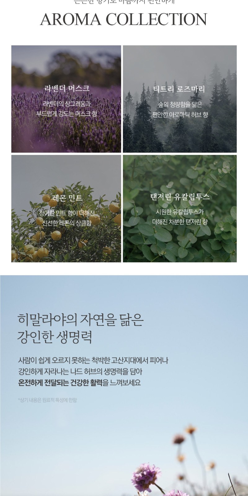 부케가르니 바디워시 + 바디로션 + 핸드크림 2개 상세 이미지