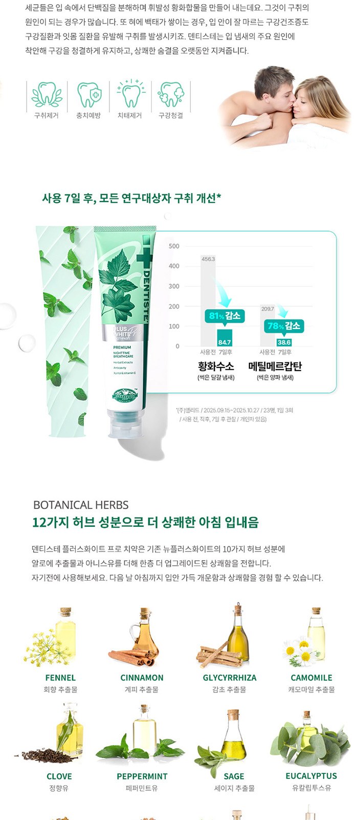 덴티스테 휴대 여행용 치약 칫솔 세트 상세 이미지