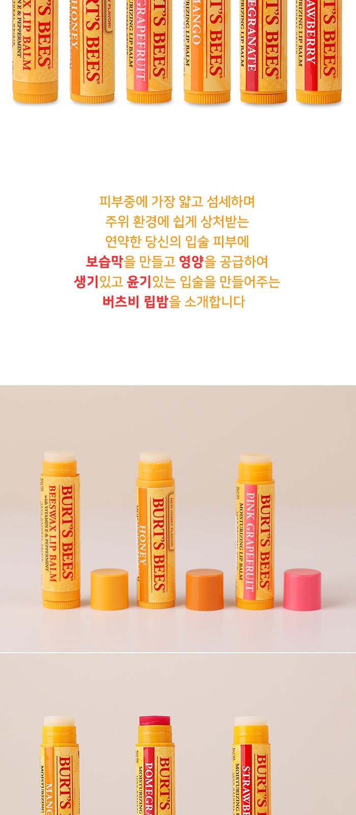 휴대 여행용 버츠비 립밤 덴티스테 가글 스프레이 세트 상세 이미지