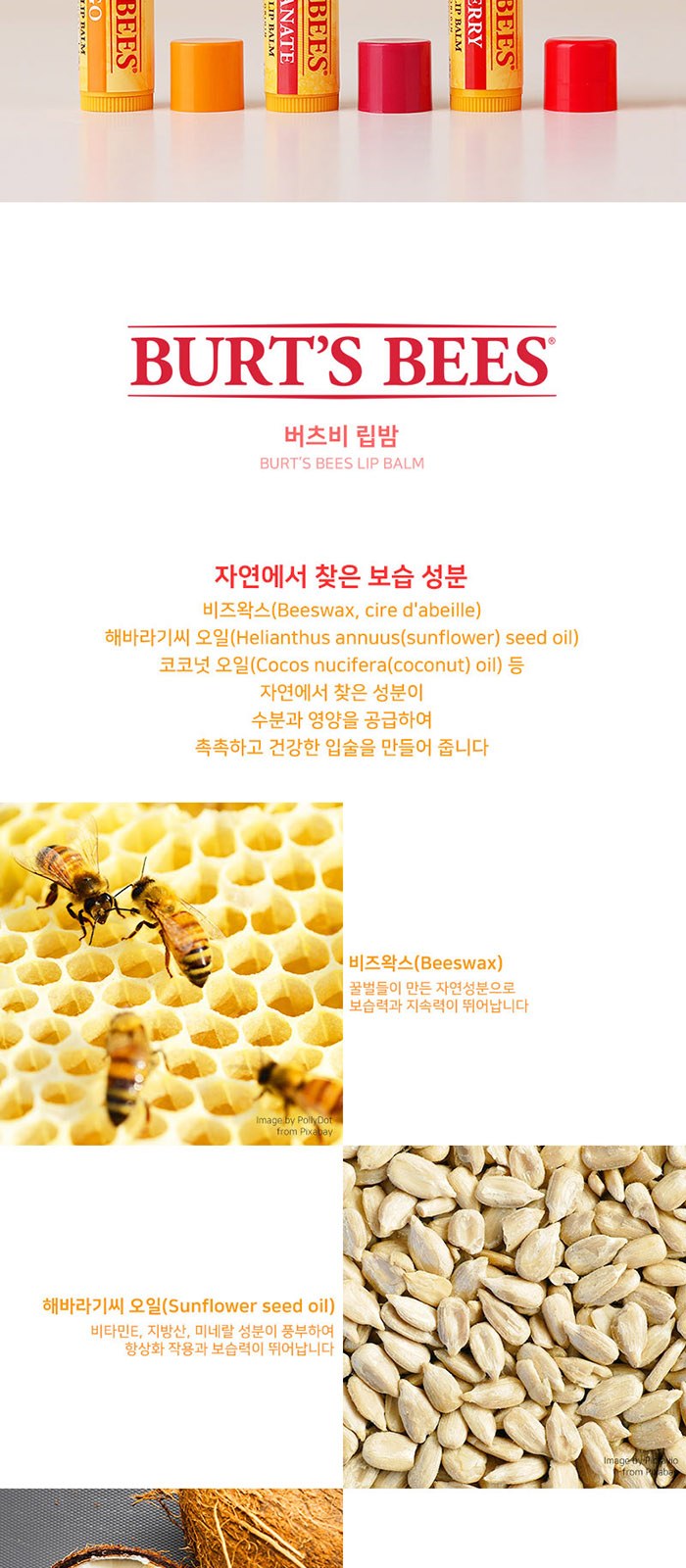 휴대 여행용 버츠비 립밤 덴티스테 가글 스프레이 세트 상세 이미지