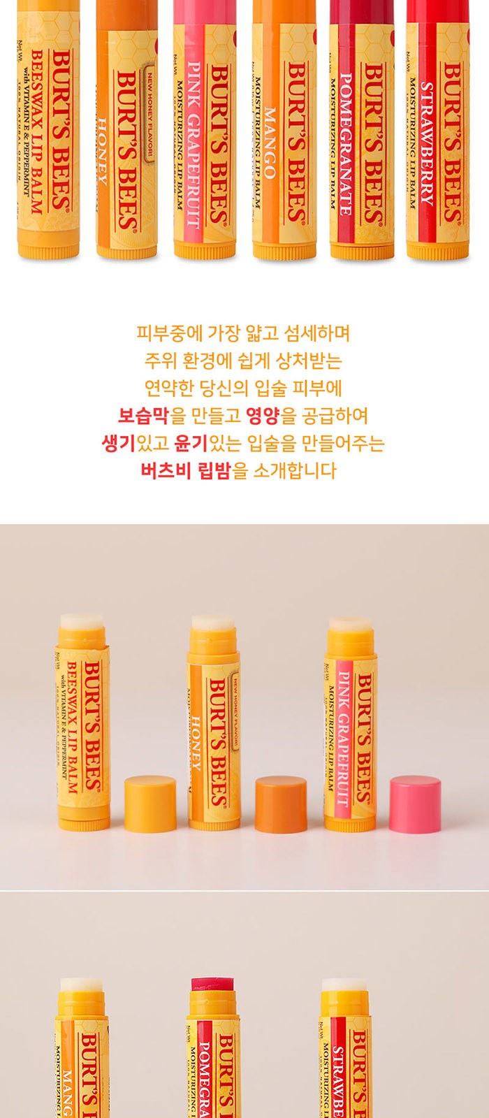 카밀 버츠비 핸드 립밤 덴티스테 가글 스프레이 3in1 세트 상세 이미지