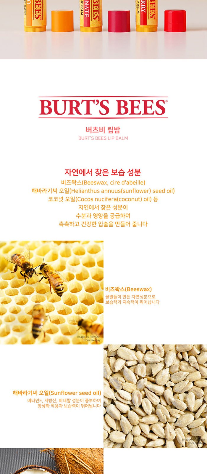 카밀 버츠비 핸드 립밤 덴티스테 가글 스프레이 3in1 세트 상세 이미지
