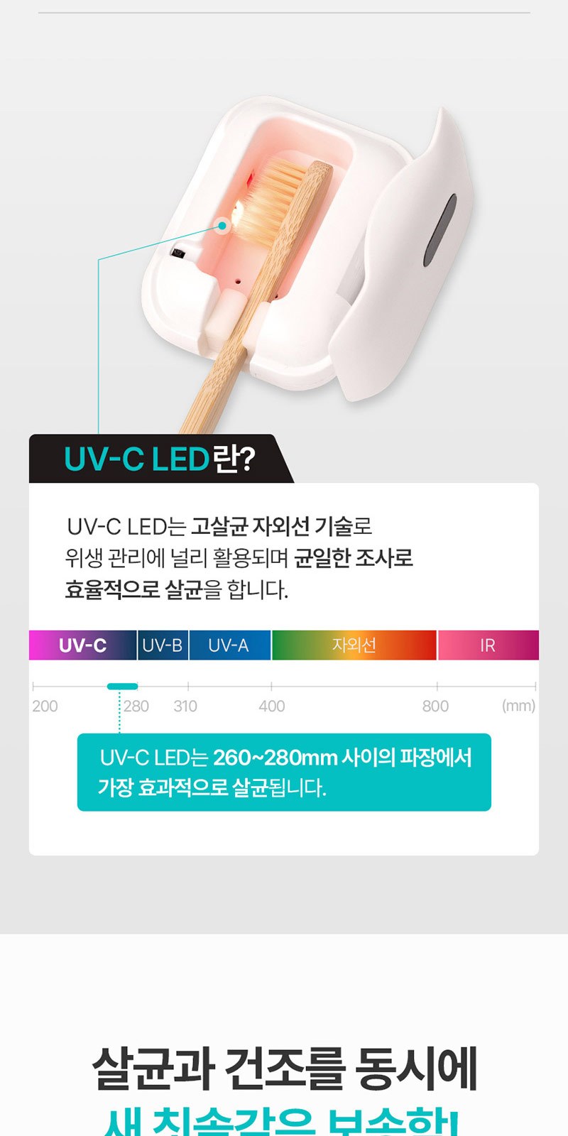 모스니에 퓨어 UVC 미니 칫솔살균기 충전기 캐리어백세트 상세 이미지