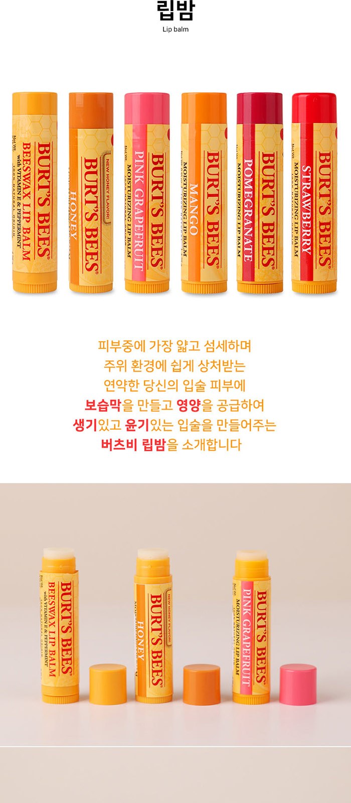 휴대용 가그린 마우스 스프레이 버츠비 립밤 세트 상세 이미지