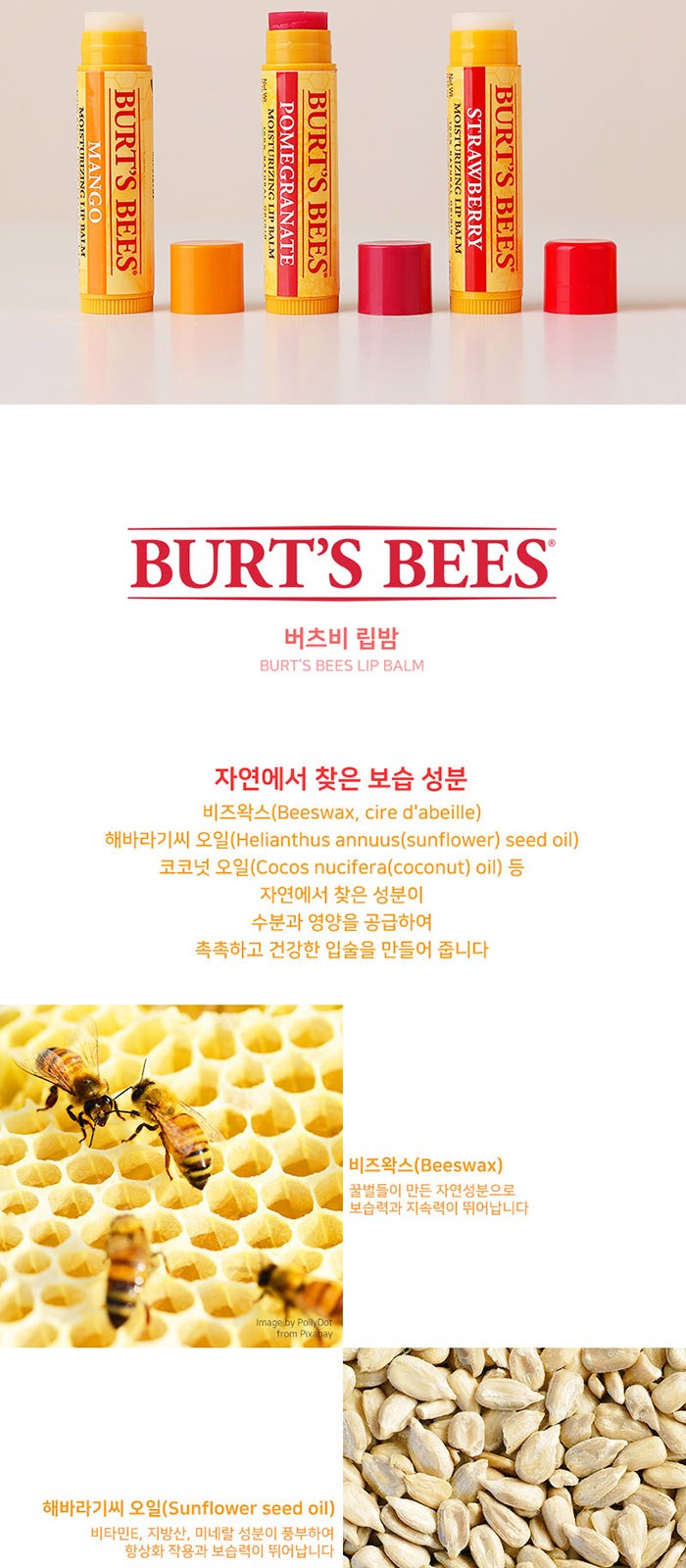 휴대용 가그린 마우스 스프레이 버츠비 립밤 세트 상세 이미지
