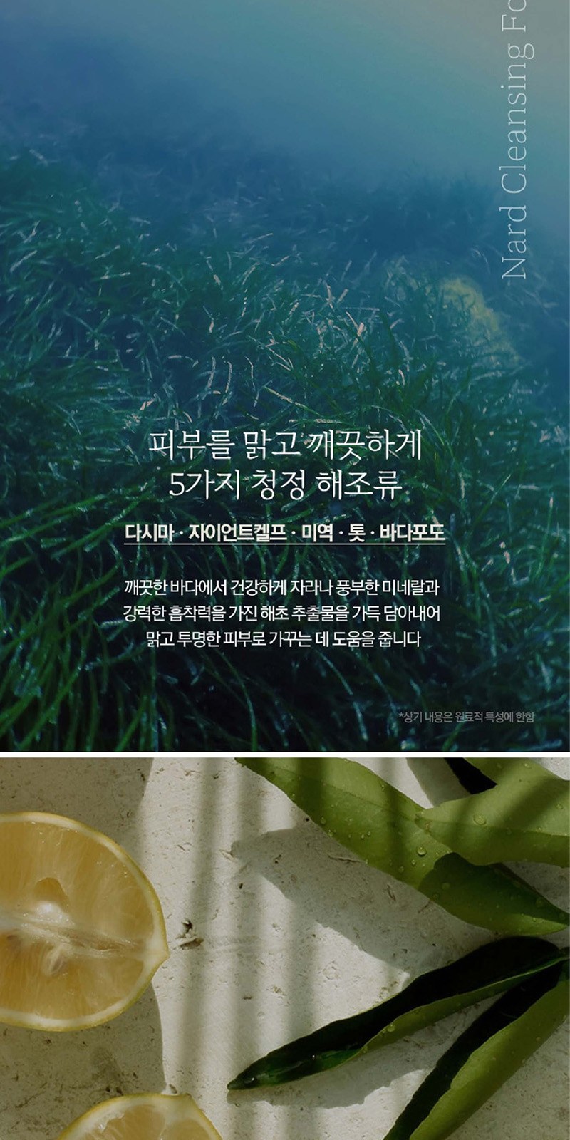 Nard 나드 프리미엄 기능성 샴푸 튜브형+프리미엄 기능성 트리트먼트 튜브형+클렌징폼 상세 이미지