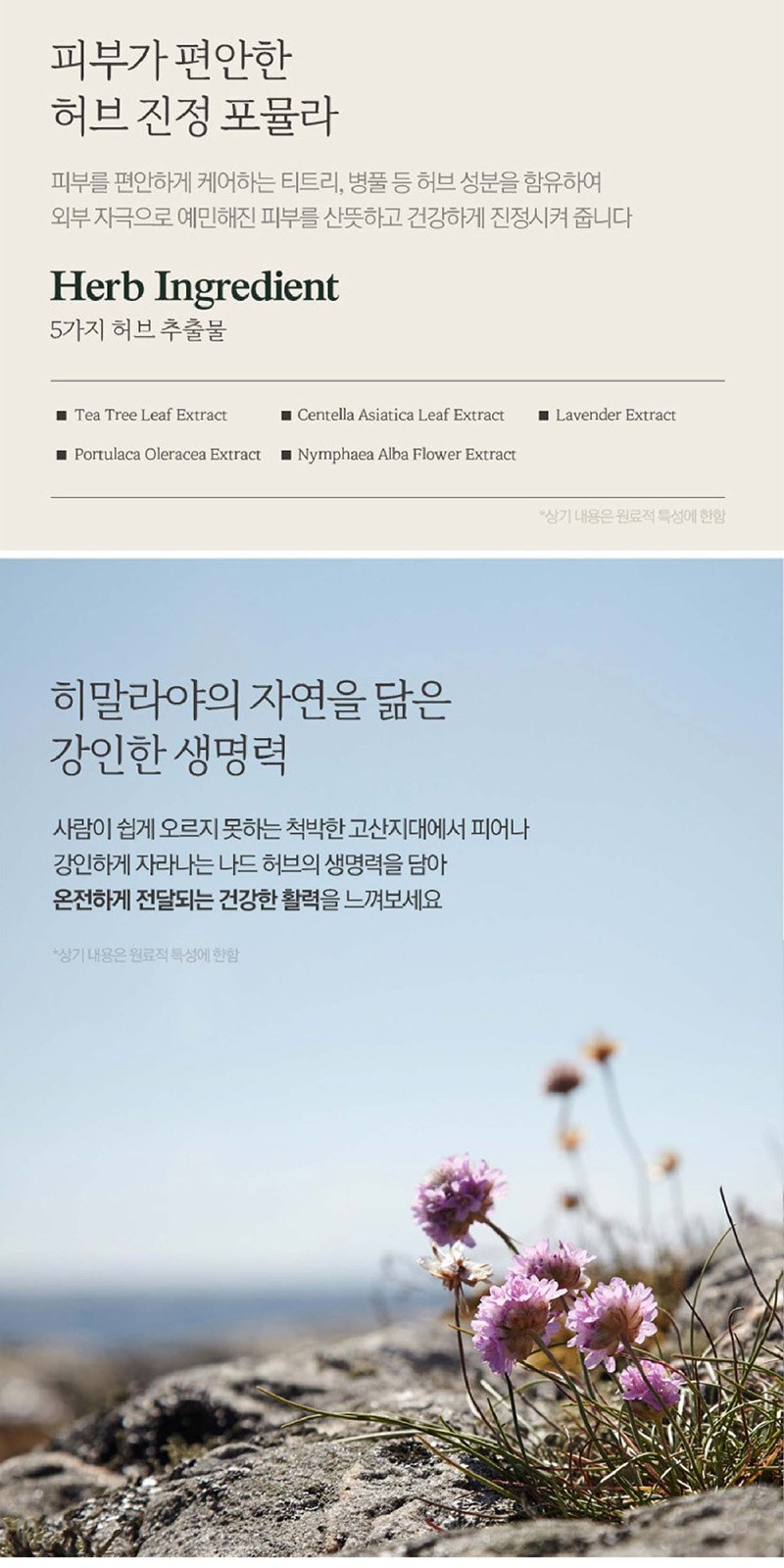 Nard 나드 프리미엄 기능성 샴푸 튜브형+프리미엄 기능성 트리트먼트 튜브형+클렌징폼 상세 이미지