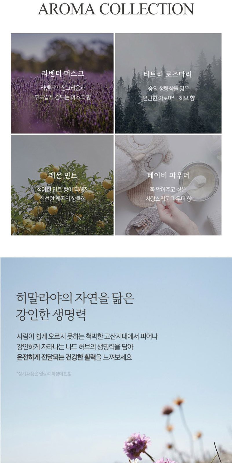 Nard 나드 프리미엄 데미지리페어링 샴푸+트리트먼트+포밍 핸드워시 500ml+핸드크림 상세 이미지