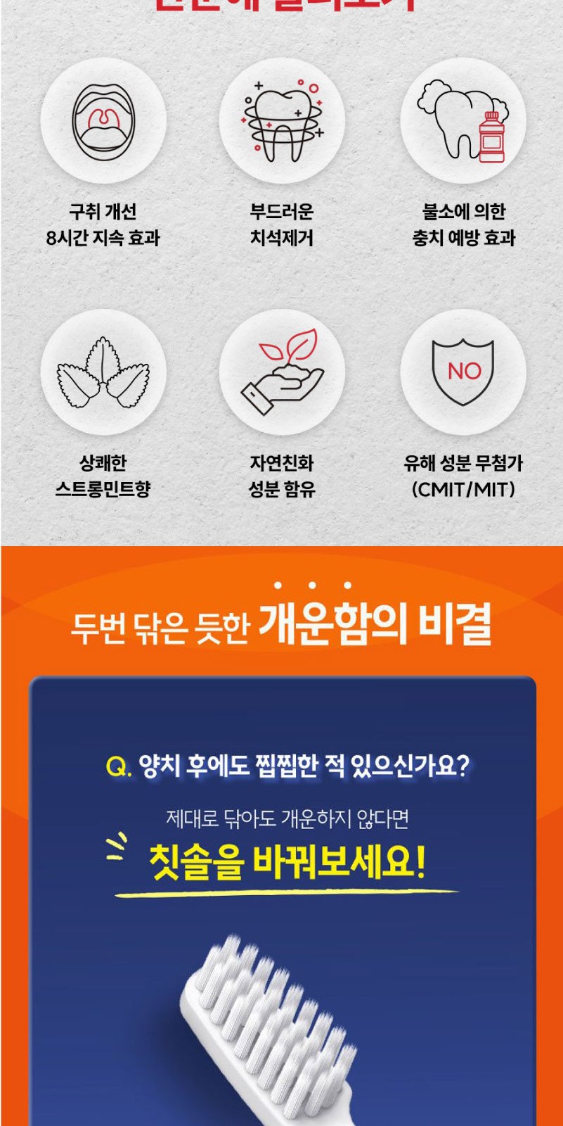 크리오 휴대용 치약칫솔  미세모칫솔+쿨맥스 민트 프리미엄 치약 50g+1회용치실 3개+휴대용케이스 상세 이미지
