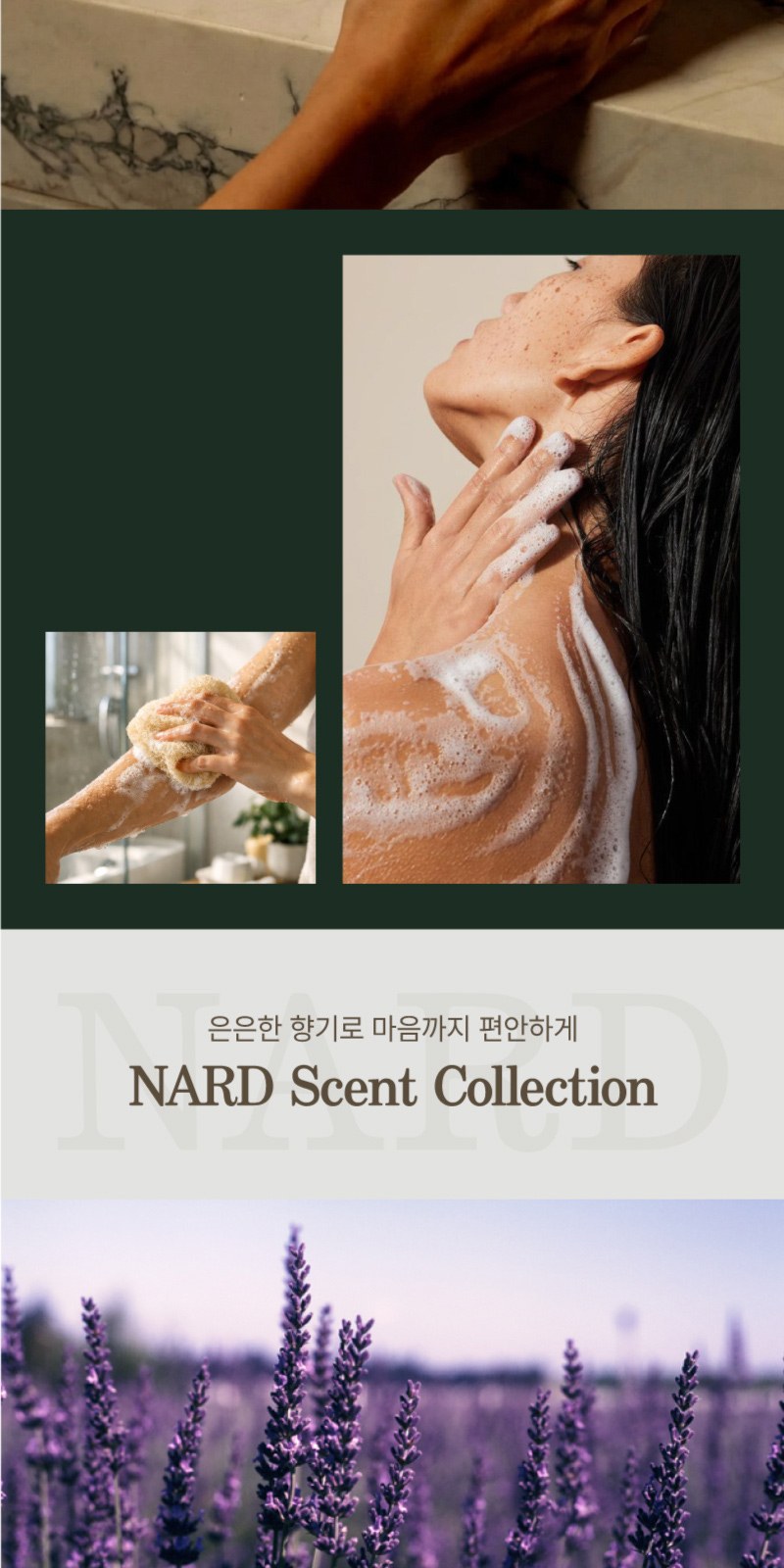 Nard 나드 프리미엄 튜브형 샴푸+트리트먼트+바디워시+덴티메이트 치약+컴팩트칫솔+휴대용케이스+Nard 나드 정품 파우치 상세 이미지