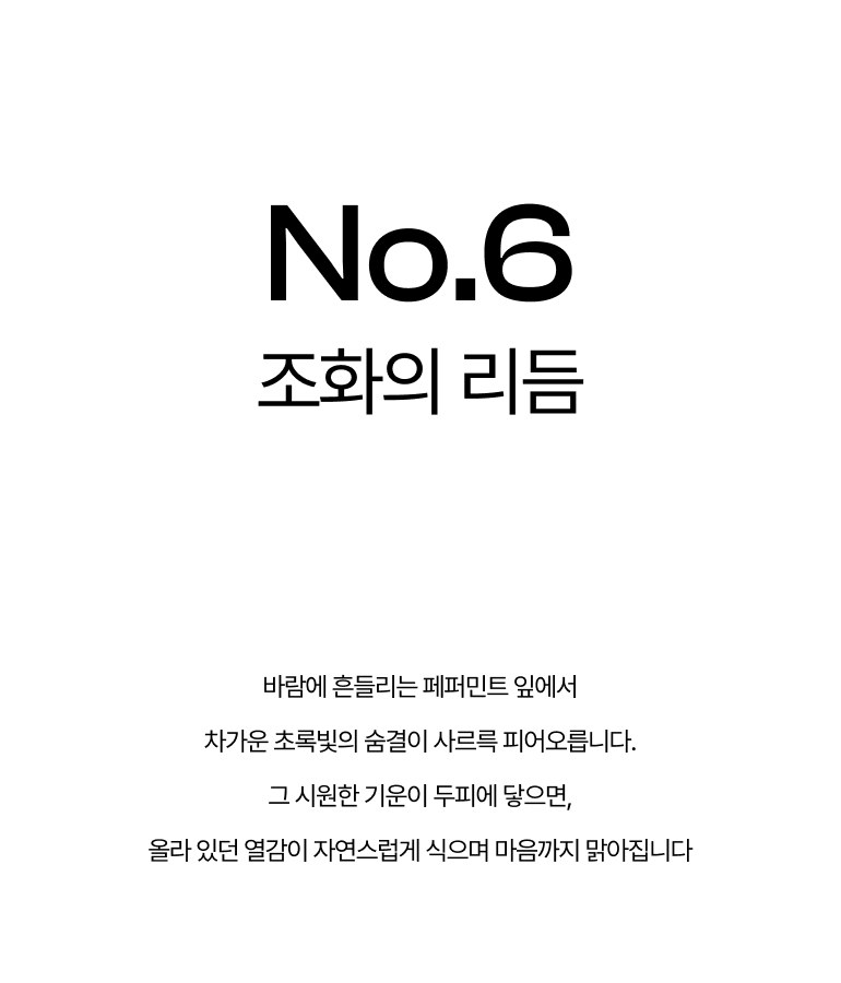 뷰가닉 Beau 샴푸바 (페퍼민트브리즈) 상세 이미지