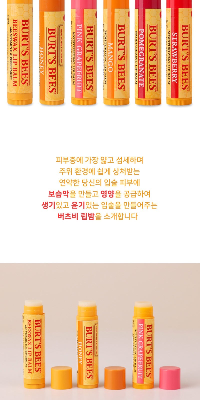 버츠비립밤 더마블록 선스틱(SPF50+/PA++++)자석싸바리케이스세트 상세 이미지