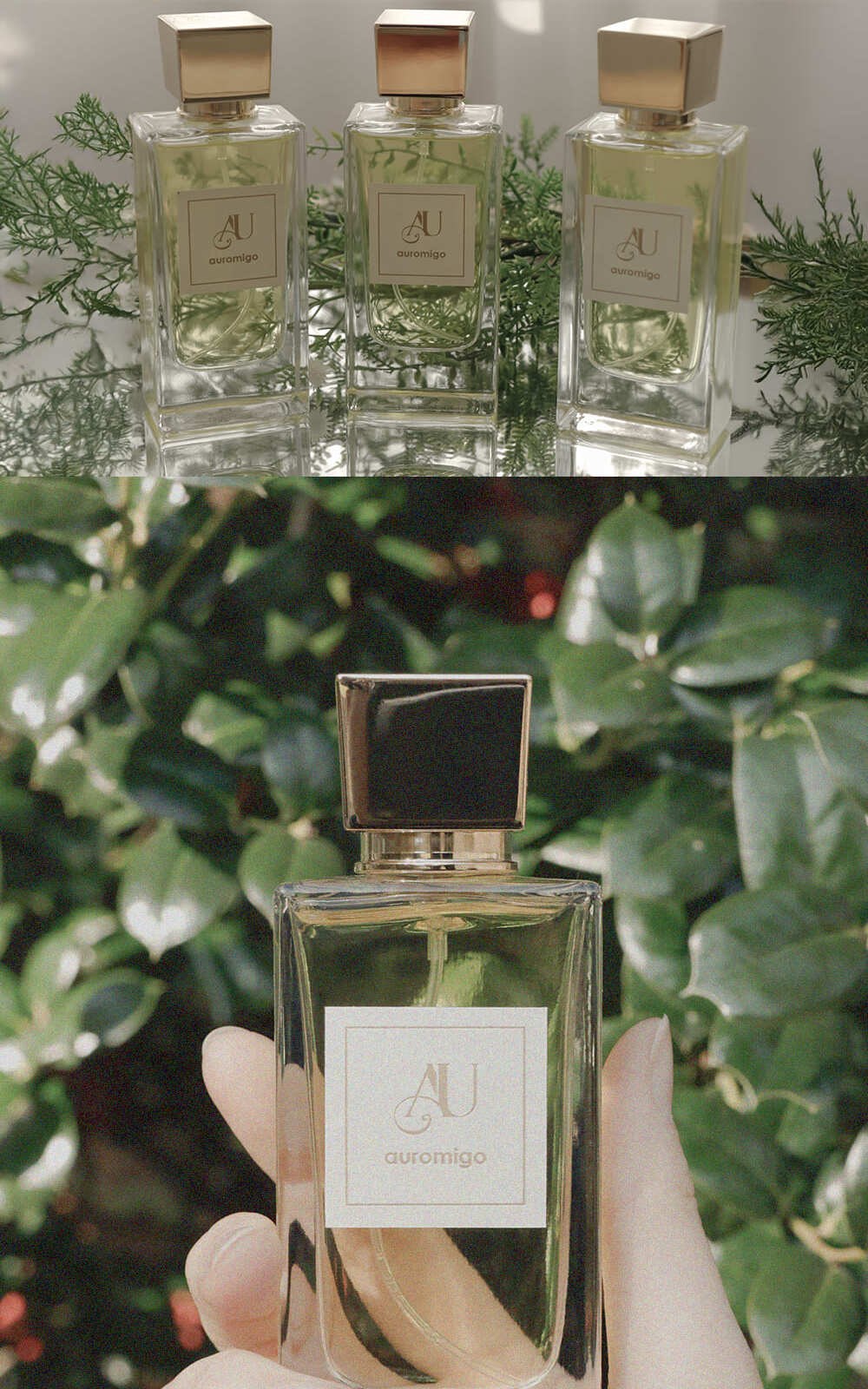 도심 속 작은 힐링이 되어주는 1879 아로미고 향수 그린 향수 남녀공용/퍼퓸 50ml 상세 이미지