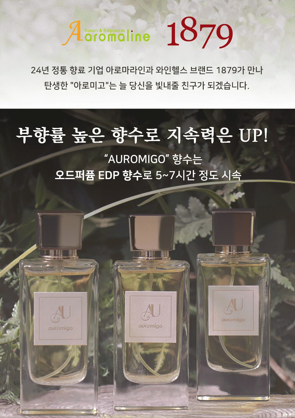 도심 속 작은 힐링이 되어주는 1879 아로미고 향수 그린 향수 남녀공용/퍼퓸 50ml 상세 이미지