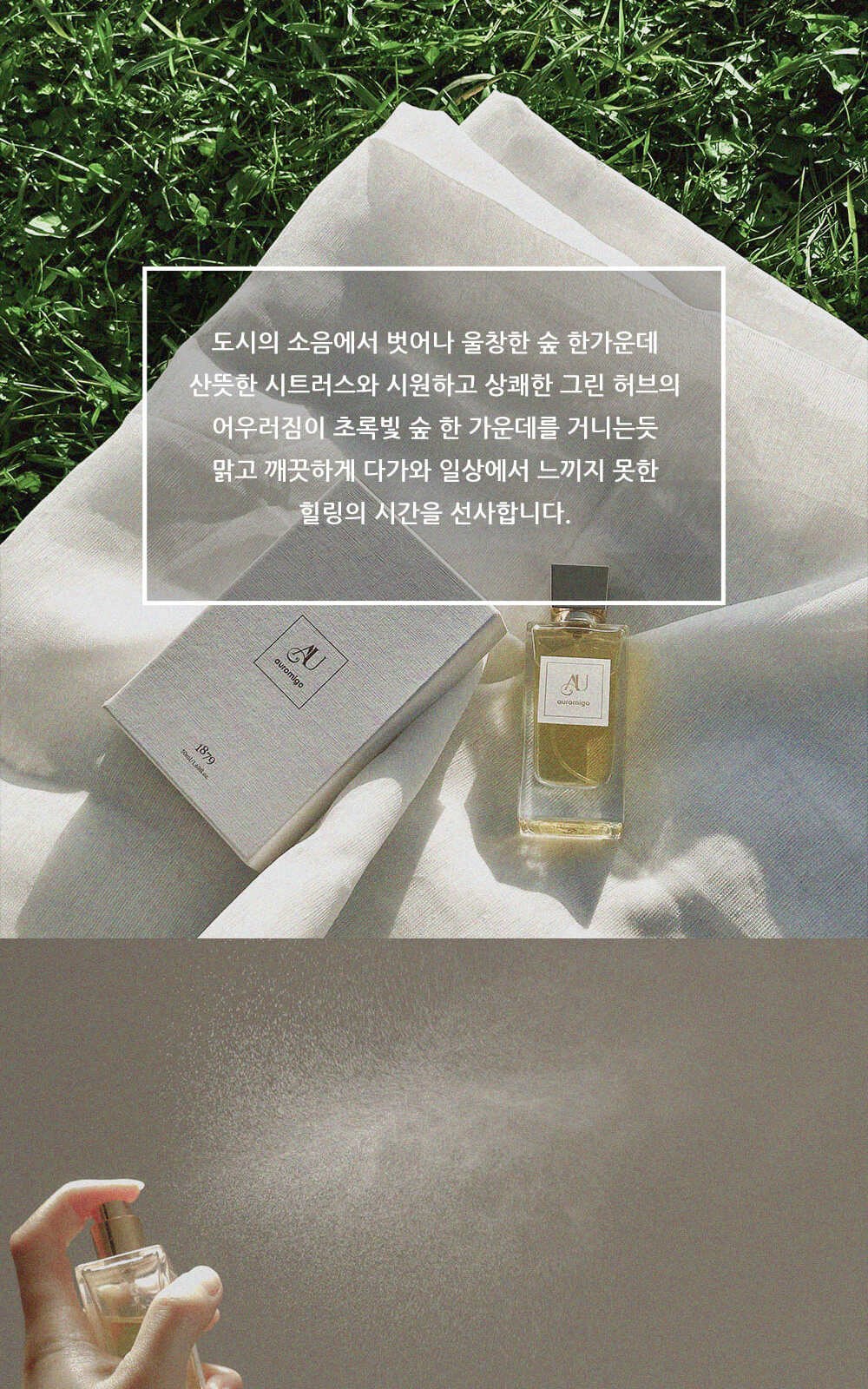 도심 속 작은 힐링이 되어주는 1879 아로미고 향수 그린 향수 남녀공용/퍼퓸 50ml 상세 이미지